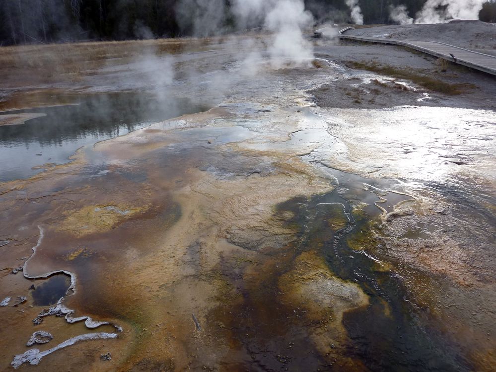 Yellowstone Old faithfull et ses environs (24).JPG